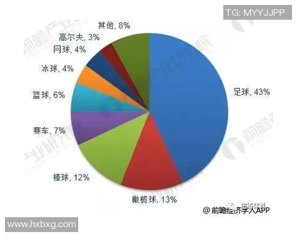 近年全球足球明星实力排名及其影响力分析报告 近年全球足球明星实力排名及其影响力分析报告